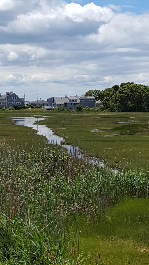 A Cape Cod Ocean Manor Inn Хианнис Экстерьер фото